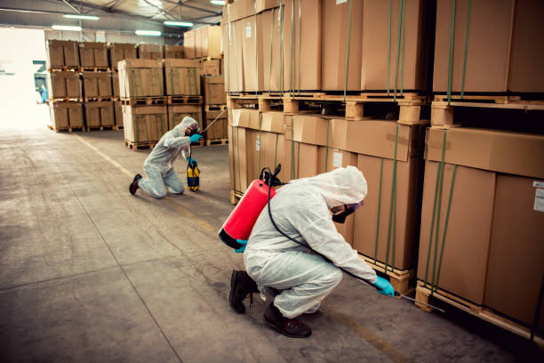 Best Pest Removal Services  in St Augusta, MN