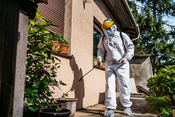 Best Wildlife Control Services  in St Augusta, MN