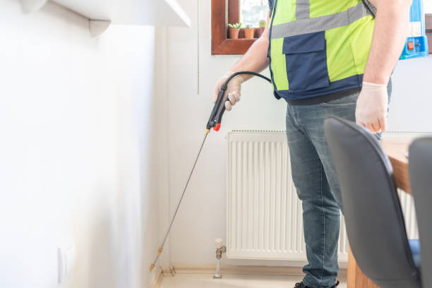Best Affordable Pest Control Services  in St Augusta, MN