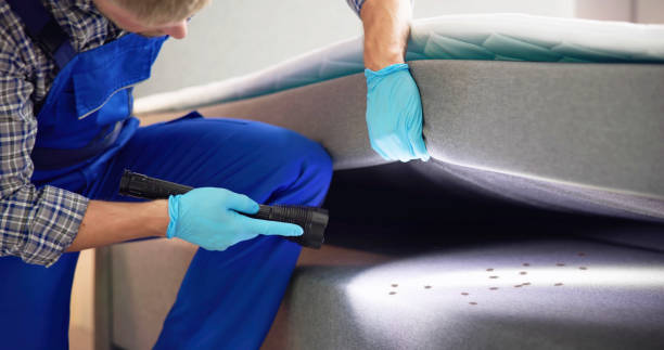 Best Ant Control Services  in St Augusta, MN