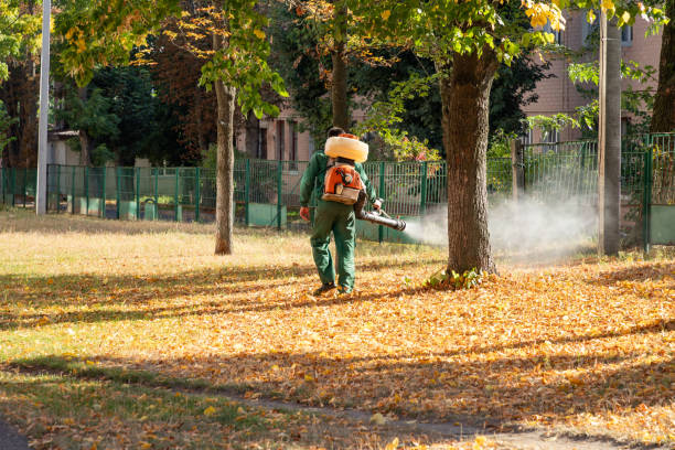 Best Termite Control Services  in St Augusta, MN