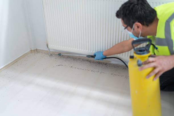 Best Commercial Pest Control Services  in St Augusta, MN