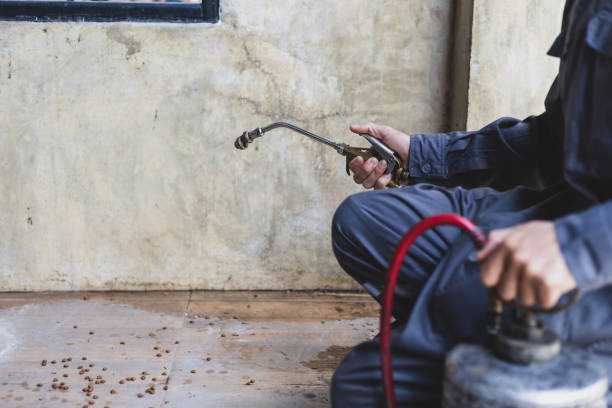 Best Best Pest Control Companies  in St Augusta, MN