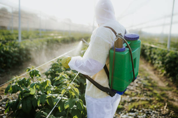 Best Pest Control Near Me  in St Augusta, MN